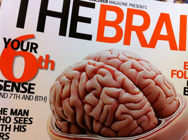 Our Brain Affects Our Attitude How Much?