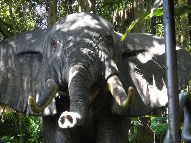 You learn about social media the same way you eat an elephant - one bite at a time