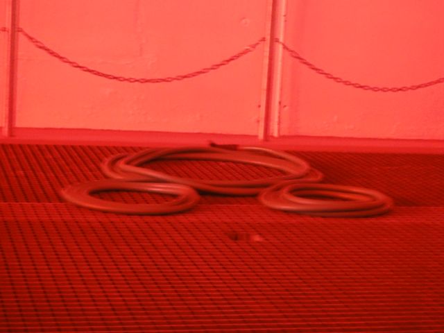 Passion for rolling up a garden hose?