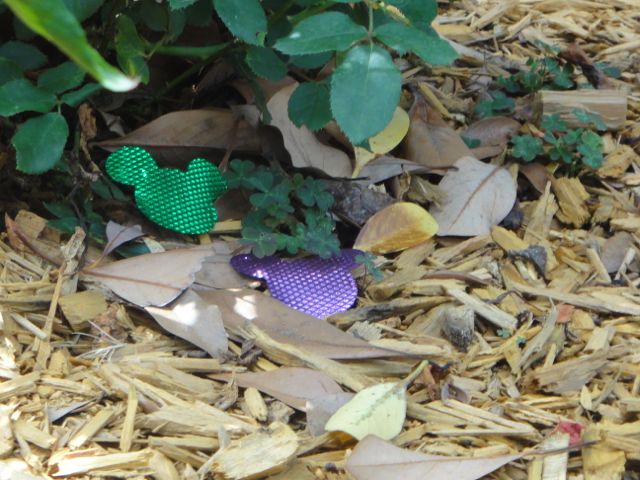 some hidden Mickey's are easier to see than others hidden Mickey's