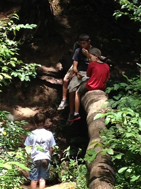 Summer camp fun