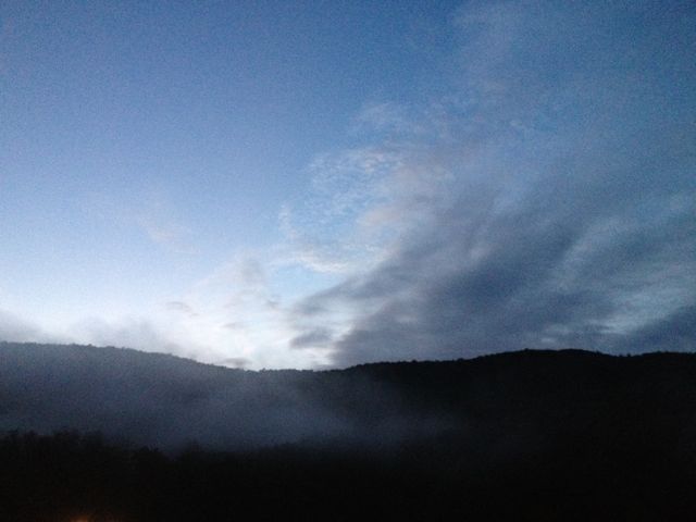 brand new day