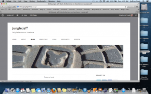 photo of Walt Disney World drainage hole cover