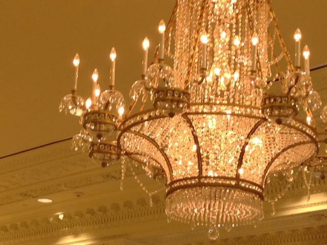 pretty fancy for a ceiling light fancy lights