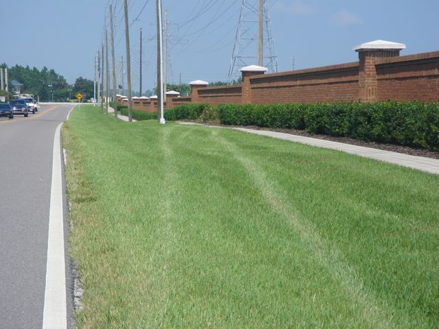 years ago, I was roughly 60 seconds from being hit by a driver who fell asleep at the wheel photo of tire tracks from car accident