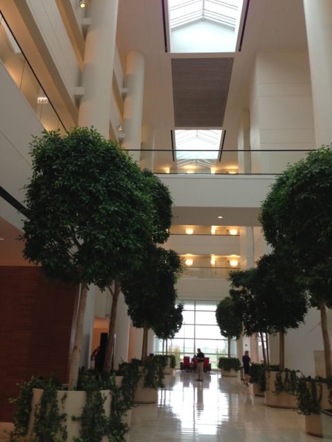 The Renaissance Hotel front desk is down on the far left dangerous business practices