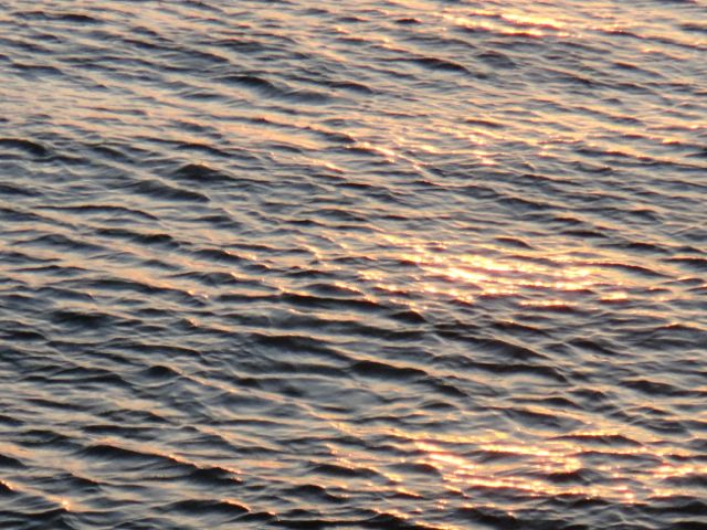 close up photo implying the vastness of our oceans