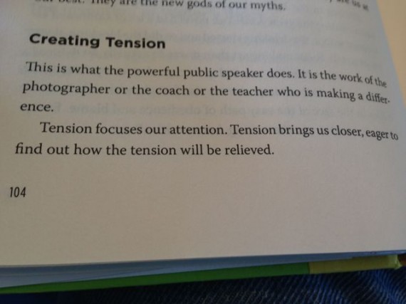 excerpt from Seth Godin's Icarus Deception