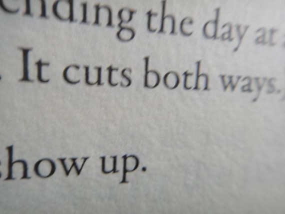 excerpt from Seth Godin book