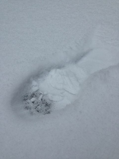 footprint in the snow