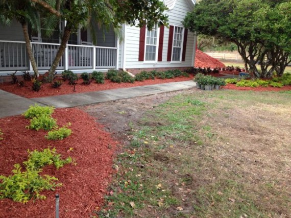 Central Florida landscape project