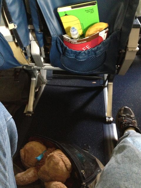 business traveler set up for success in first class Delta seat