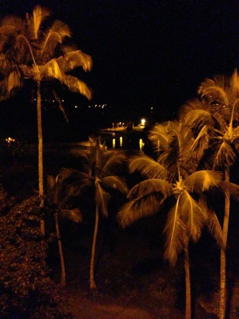 Hilo Hawaiian hotel room view upon arrival