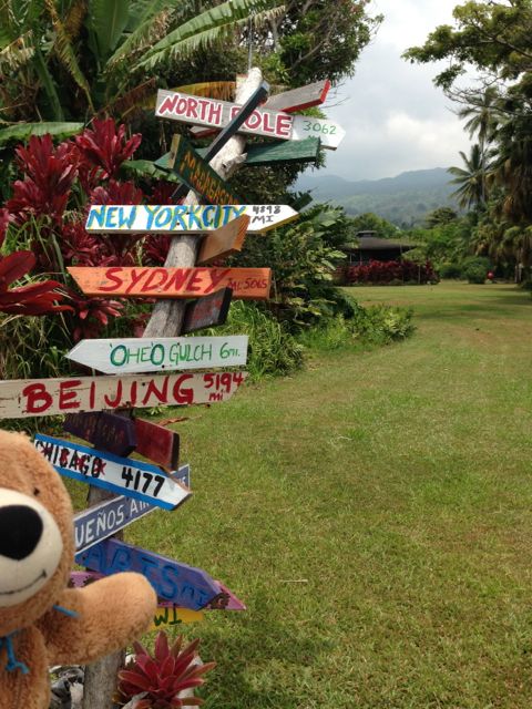 World cities signs on a pole along Hana Road