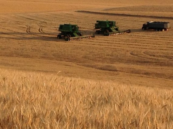 Two combines and truck