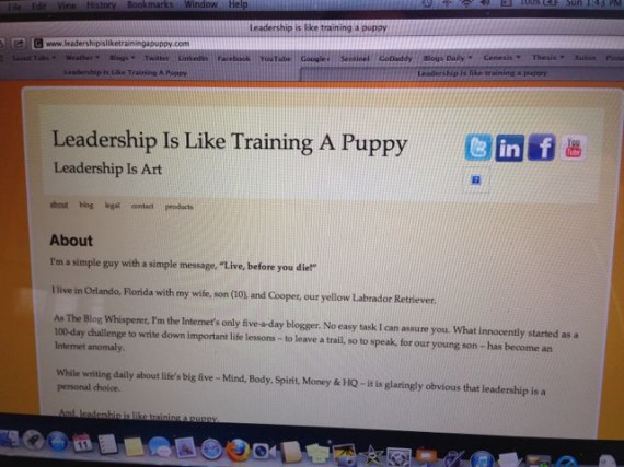 Blog page using WordPress and Genesis framework