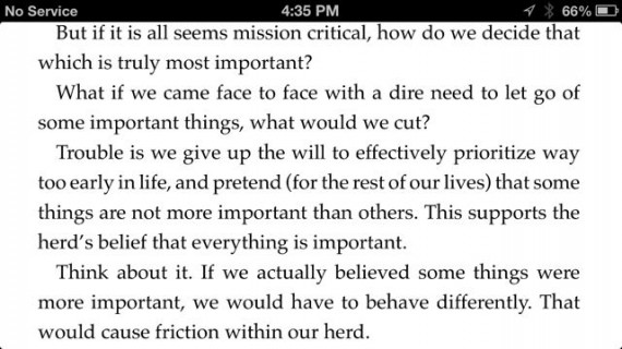 Mid Life Celebration book excerpt with typo