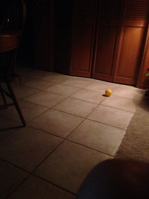 Lone yellow ball on dimly lit floor