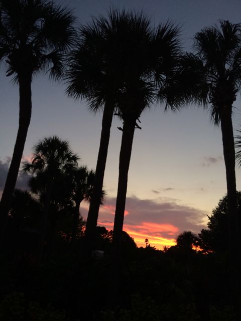 Typical driveway view returning home from a speaking gig