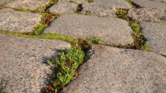 Stone roads are common near castles.