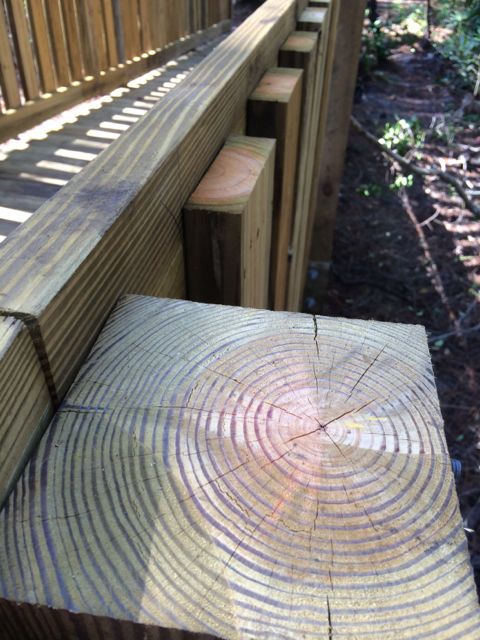 Tree growth rings in a wooden bridge post