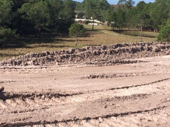 Reams Road construction near Disney World Cast Entrance
