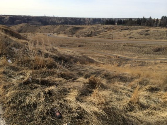 Lethbridge viaduct