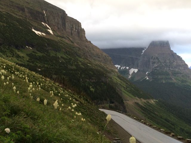 Going to the Sun Road looking east near Logan Pass