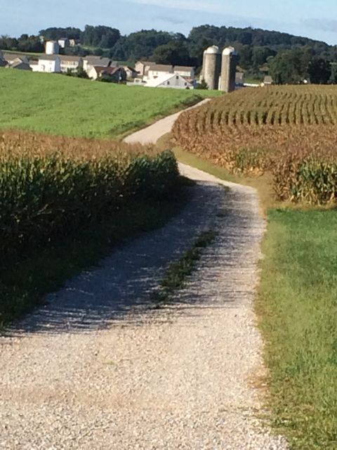 Farm near Spring Grove, Pennsylvania
