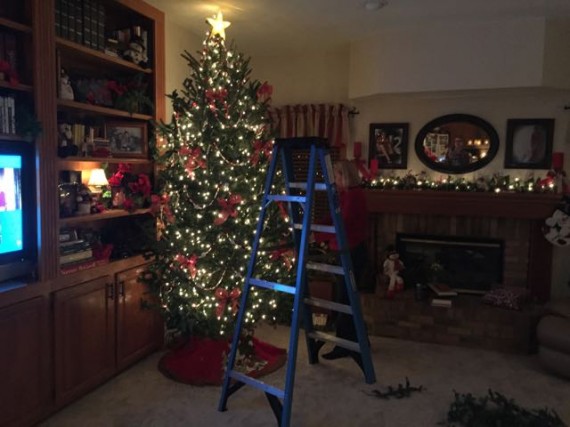 Decorated Christmas Tree
