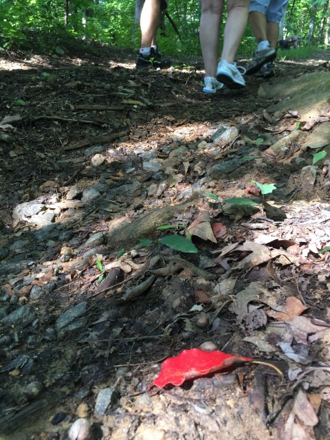 Hiking trail