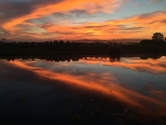 Florida sunrise reflection over golf course pond