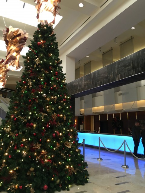 Hilton by Disney Springs