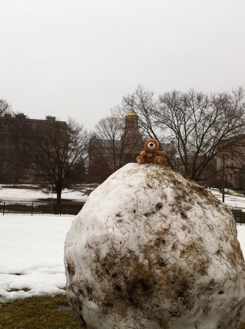 giant snowball