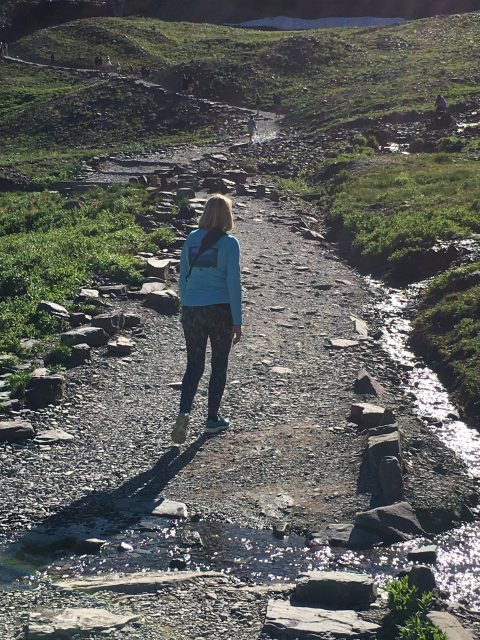 Glacier Hidden Lake Trail