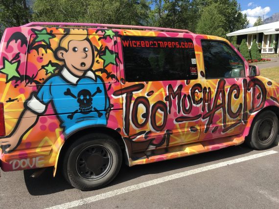 Hippie van