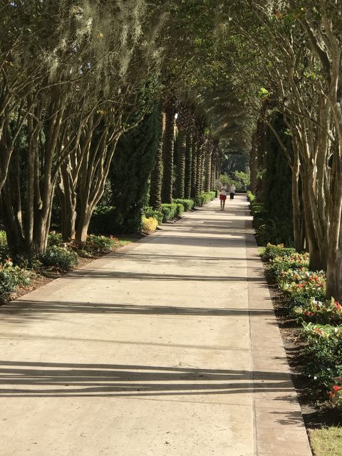 Four Seasons Resort at Walt Disney World