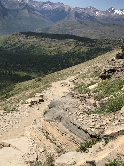 Grinnell Glacier Overlook