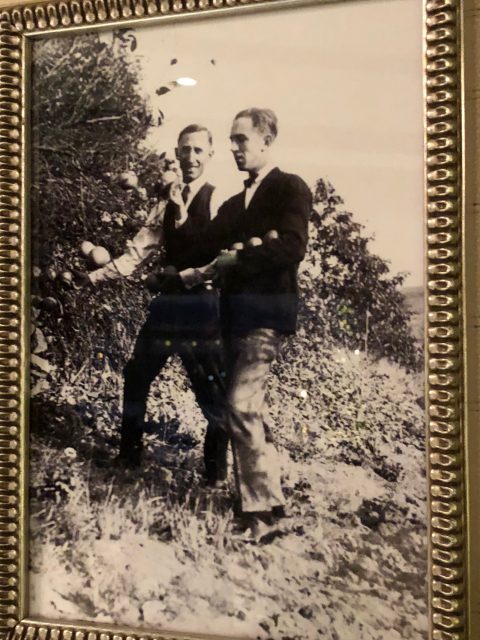 Walt Disney photos