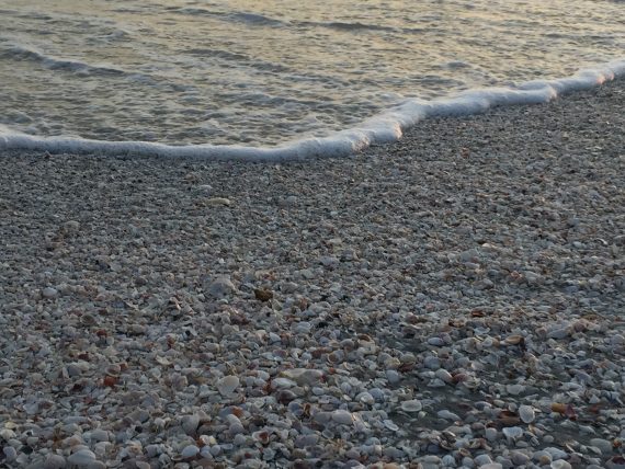 Sanibel shelling beach