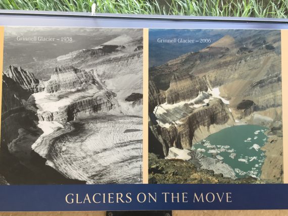 Glacier Park facts