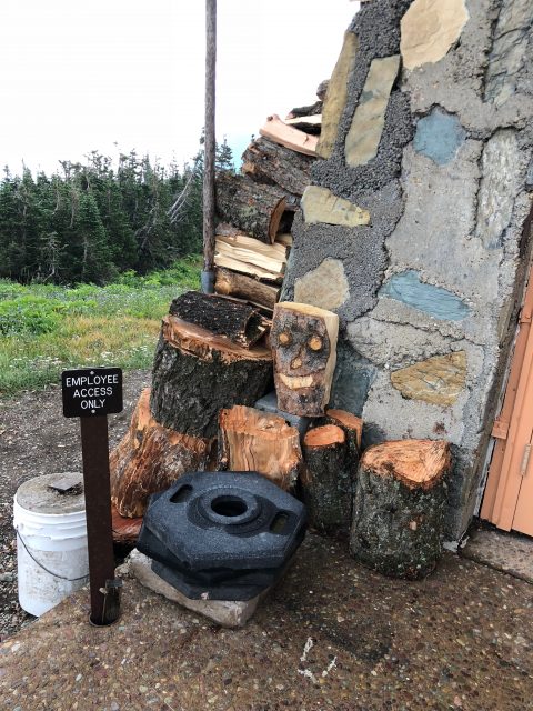 smiling face in wood log
