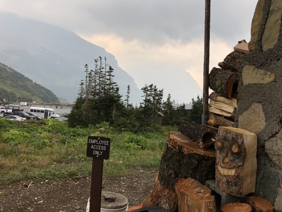 smiling face in wood log