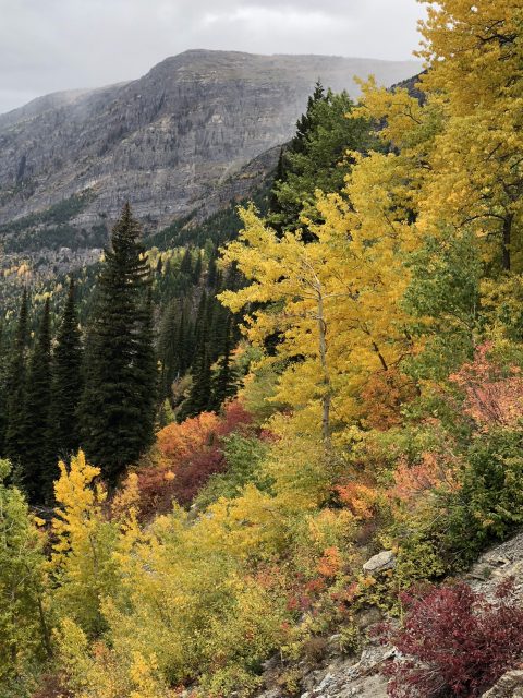 Glacier fall foliage