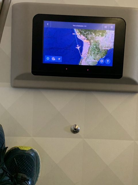 Delta flight map
