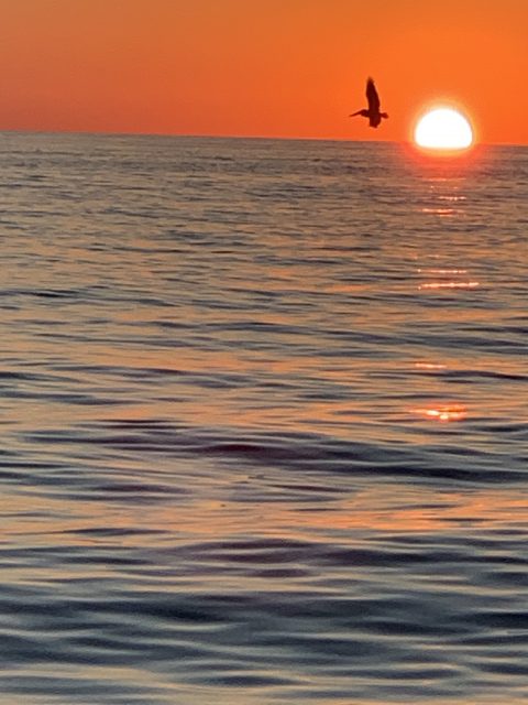 Sanibel Sunset