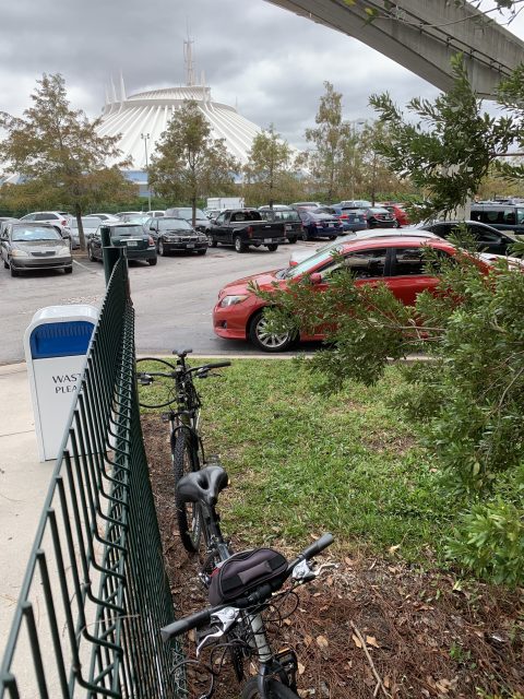 VIP Disney parking