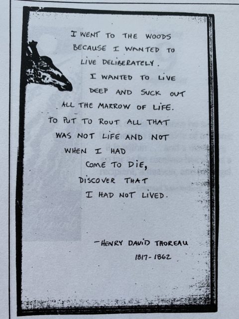 Henry David Thoreau quote