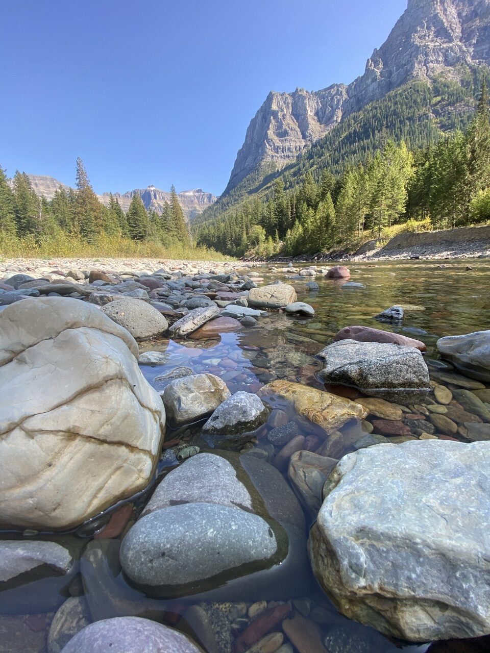 river bed full of rocks