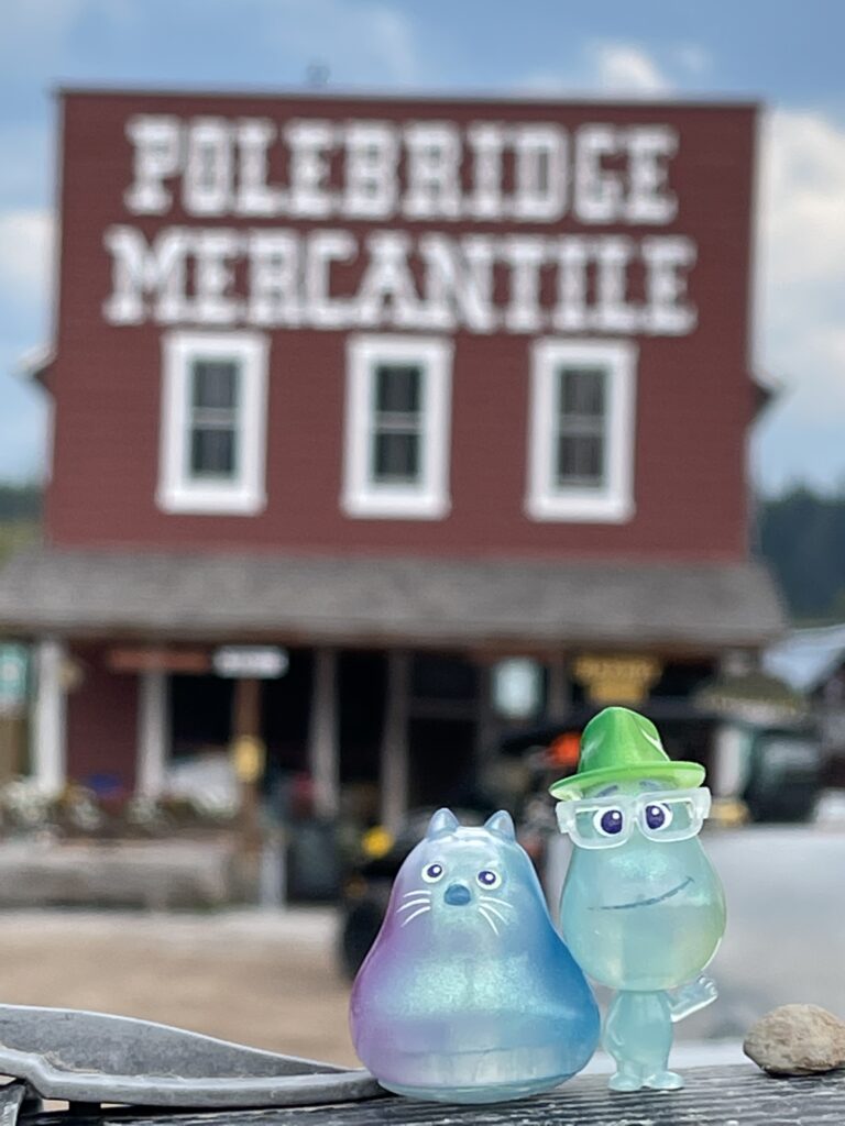 Pixar Soul toys At Polebridge mercantile